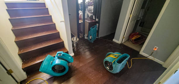 Best Flood restoration services  in Mackinac Island, MI