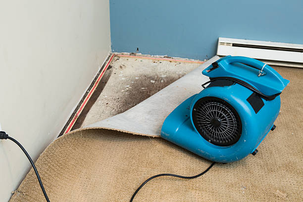 Best Water damage cleanup near me  in Mackinac Island, MI